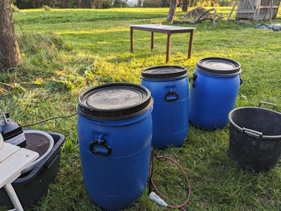 ... der Lohn, 3 Fässer voll mit Maische ... ... der Lohn, 3 Fässer voll mit Maische ...