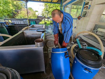 ... die Maische wird in den Brennkessel gesogen ... ... die Maische wird in den Brennkessel gesogen ...