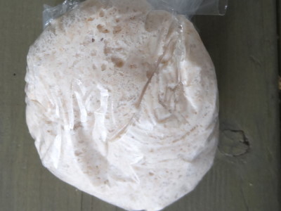 ... fleißige Hefepilze in der Kälte ... ... fleißige Hefepilze in der Kälte ...