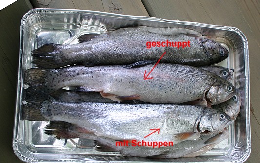 Unterschied erkennbar ...