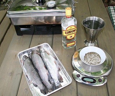 Ein Salzbad im Gin tut den Forellen gut!