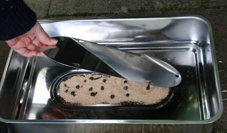 Zwei Esslffel Ruchermehl, mit einigen Wacholderbeeren bestckt, wird das Ganze abgedeckt ...