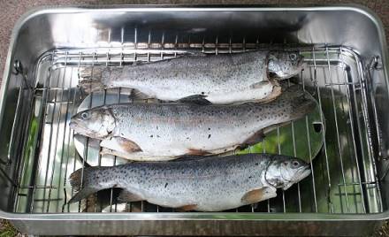 ... nun die Fische ...