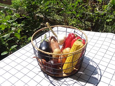 Unsere Gemseauswahl ...