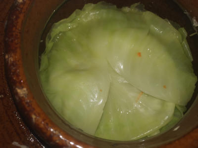 ... Blätter zum Abdecken ... ... Blätter zum Abdecken ...