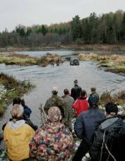 Furten bis zum Abwinken ...