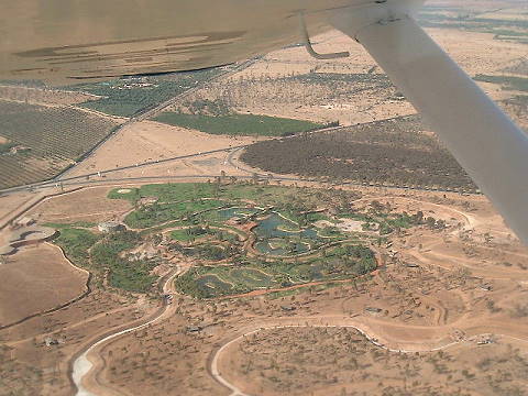 Vereinzeltes Grn und ...