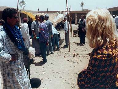 Souk Rissani: Wir mit Fhrer ...