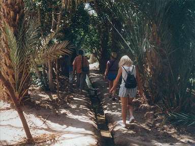 Rundgang in der Oase ...