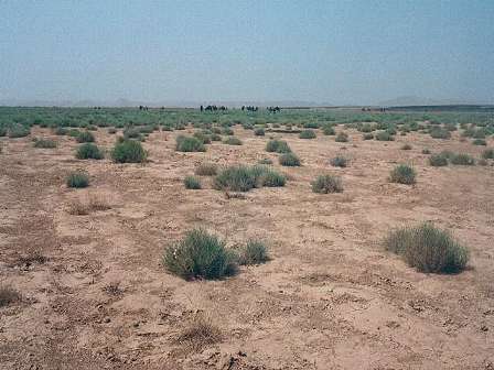 Am ausgetrockneten See ...