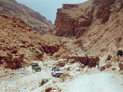 ... und Wadi-Fahrt ...