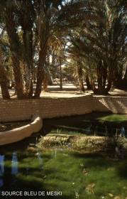 ... heimeliger Oasencharakter ...