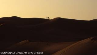 Wstenschiffe schaukeln vor der aufgehenden Sonne ...