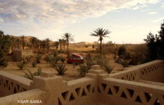 Stellplatz zwischen Plmchen mit Stromanschluss ...