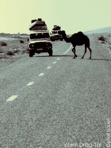 Gefhrliche Abwechslung ...