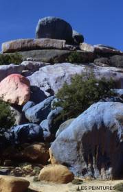 ... auch der Fotograf wird zum Knstler ...