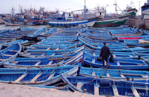 Essaouira, Fischereihafen ...