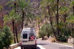 ... und sattem Grn ...