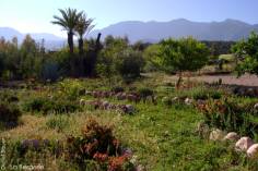 Ferienanlage fr Betuchte ...