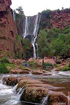 Ein Wahnsinns-Spektakel ...