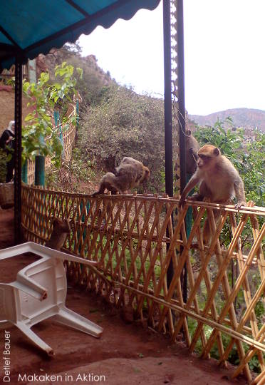 Bald nur noch Erinnerung ...