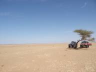 Unendlichkeit der de: Baum als einziger Fixpunkt ...