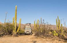 Defender-Versteck ..?