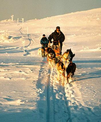 ... und bald fahren wir wieder ... ... und bald fahren wir wieder ...
