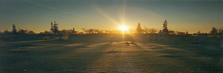 Zurck durchs Winterwunderland ...