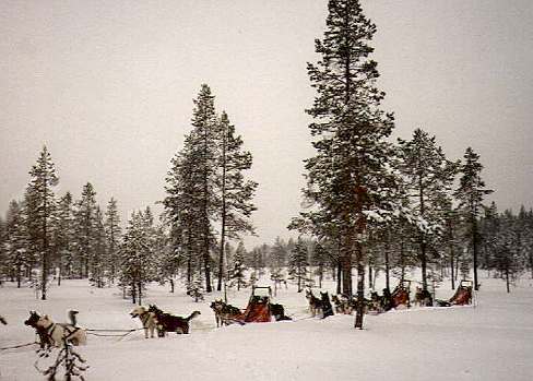 Menschen, wollt Ihr ewig Pause machen? Menschen, wollt Ihr ewig Pause machen?