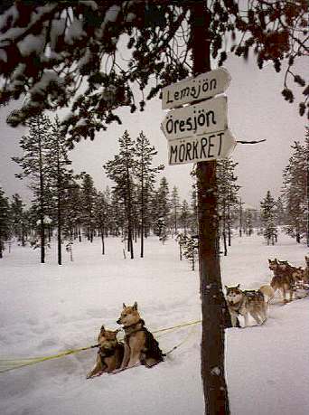 Pause für Hund ... Pause für Hund ...