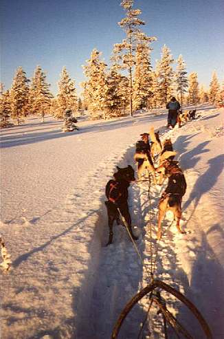 Schweden - ein Wintermrchen