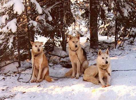 Hej, wann gehts los, wir sind bereit!