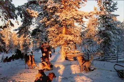 Aufbruchstimmung am Morgen ... Aufbruchstimmung am Morgen ...