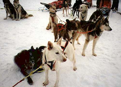Wann geht es denn los?