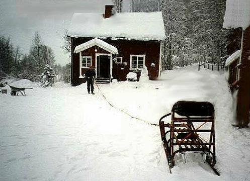 Die Husky-Farm in S�rberget ...