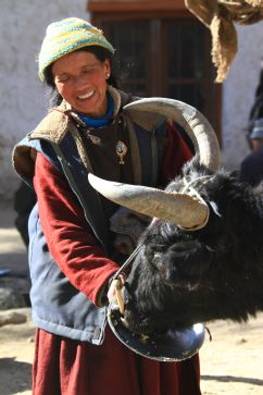 Bewohner Ladakhs ...