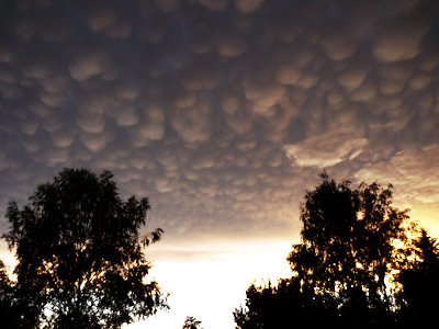 Cumulonimbus mamma (Beutel)