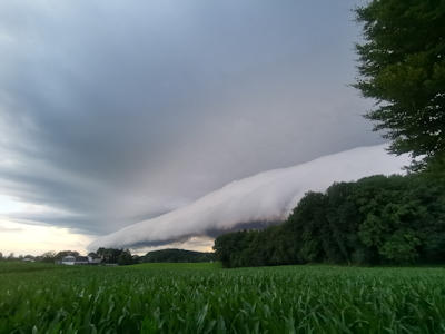 Cumulonimbus arcus (hier als Walze)