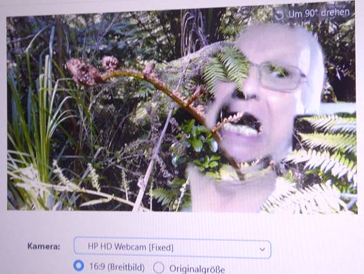 Meeting mit virtuellem Hintergrund: Wre man doch blo in NZ geblieben!