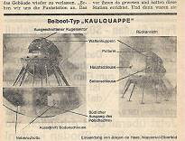 Vergilbte Erinnerungen ... Vergilbte Erinnerungen ...