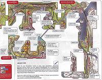 Ausschnitt: Abschnittsplan im Reisefhrer ...