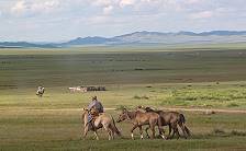 ... Pferde samt Reiter ... ... Pferde samt Reiter ...