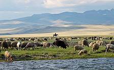 ... und natürlich Schafherden mit Hirten und mit Pferden ... ... und natürlich Schafherden mit Hirten und mit Pferden ...