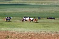 Naadam in Erdenesant ... Naadam in Erdenesant ...