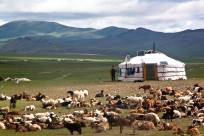 ... und Leben ... und Leben