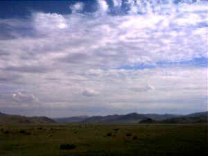 Im Norden der Mongolei ...