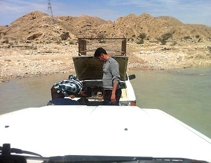 Befreiung aus misslicher Lage ...