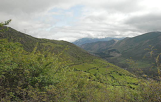 Endlich: Ein Streifen frischer grner Vegetation ...