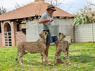 ... nach dem Schmusen kommt das Futter ...